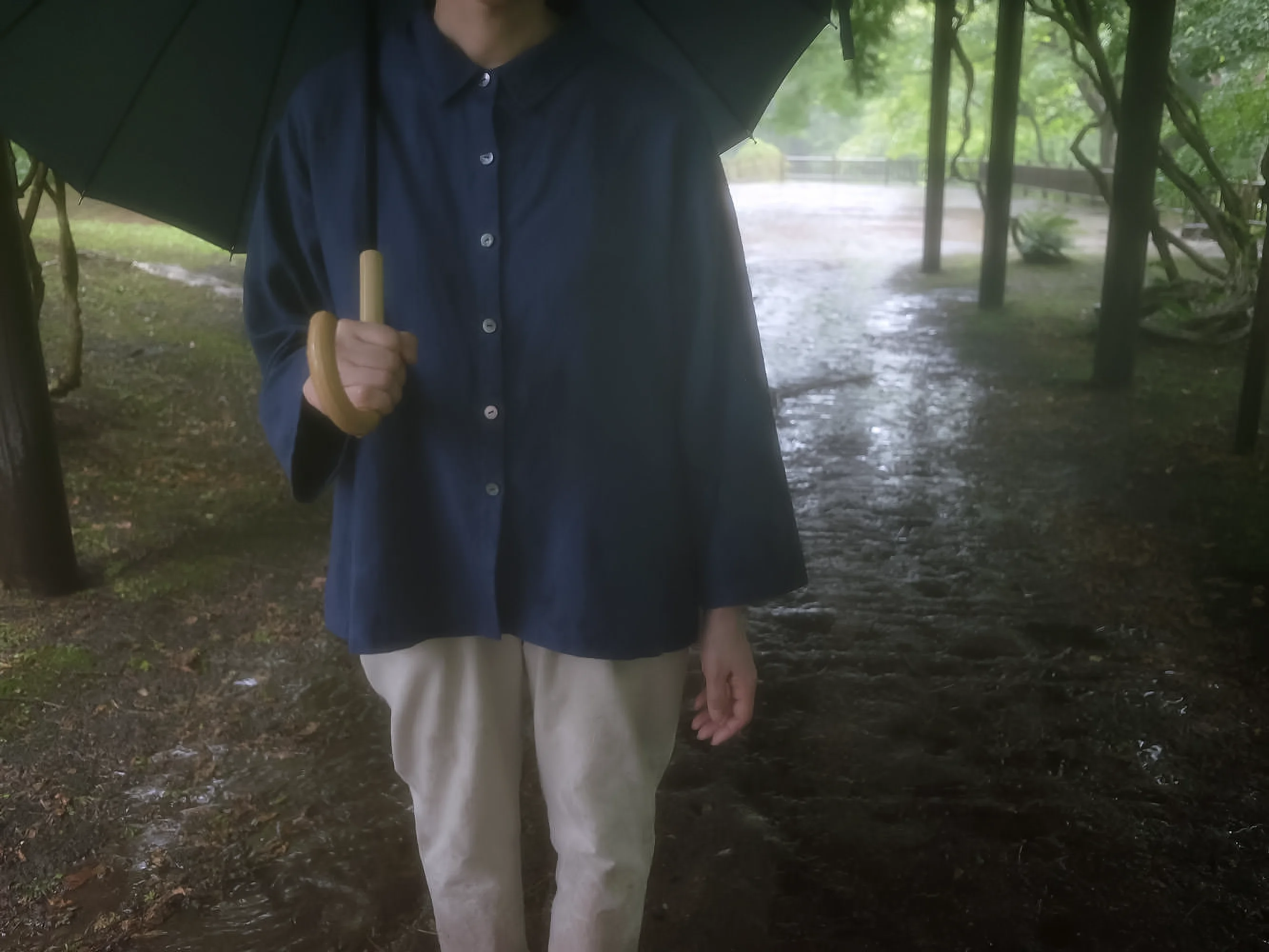 ギャラリー1