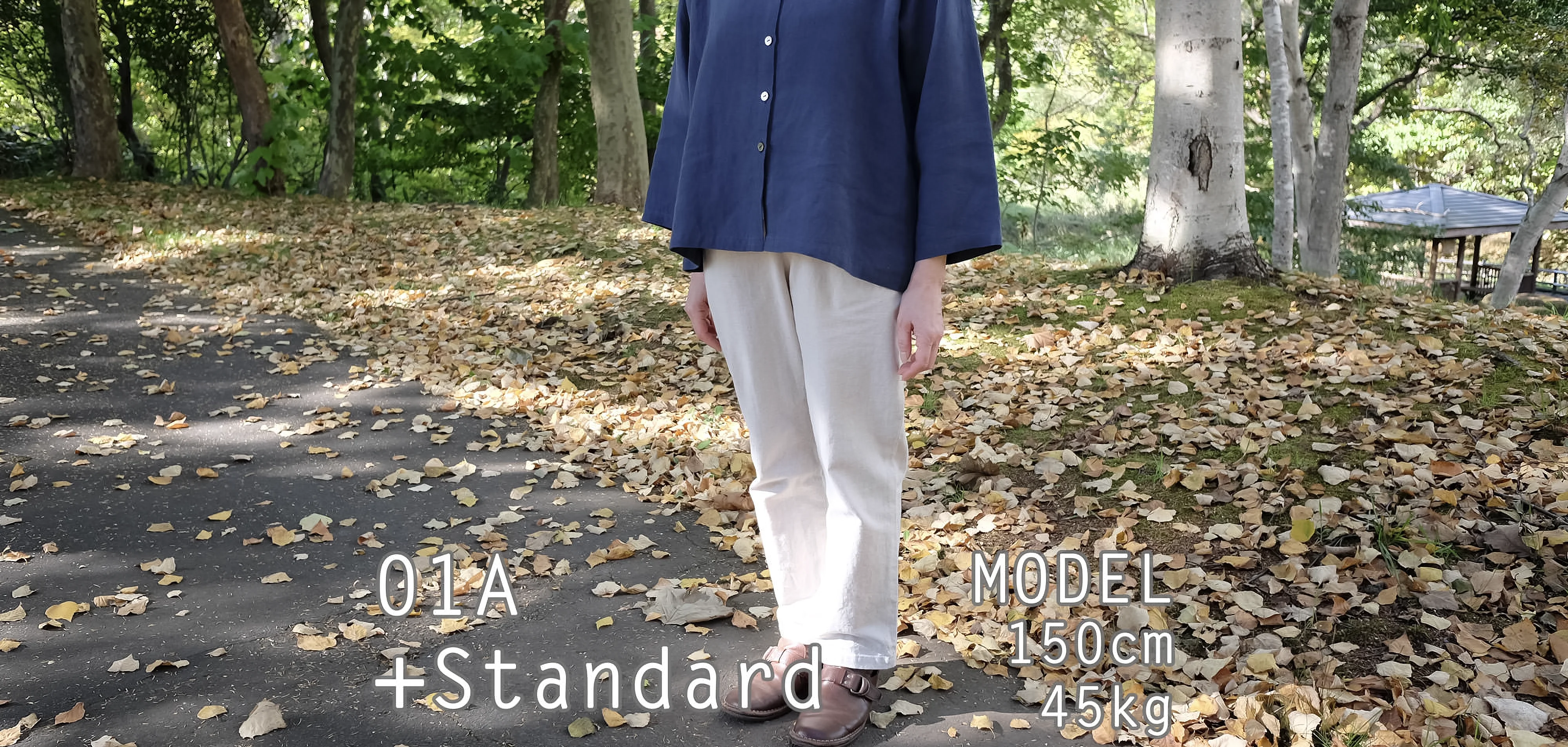 01A+Standard